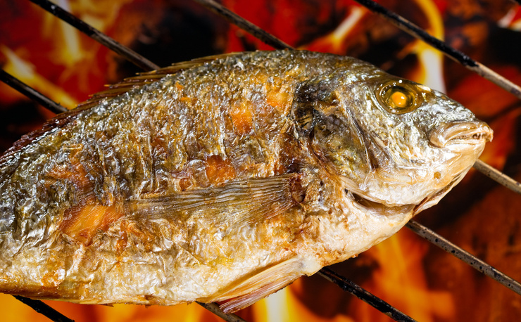 Grilled fish